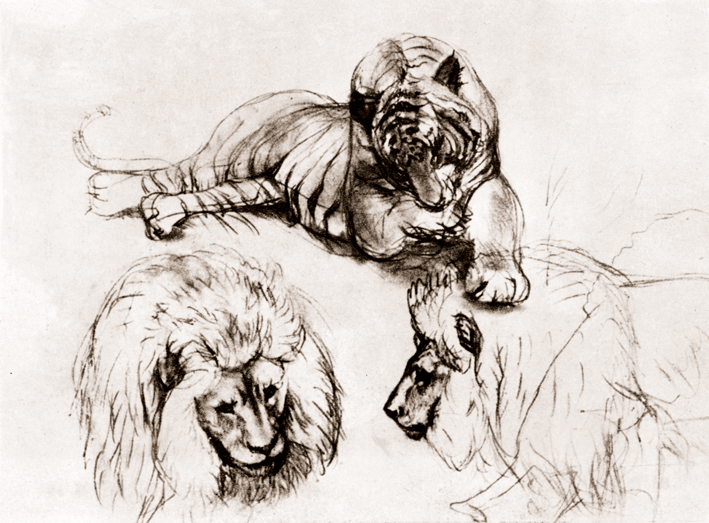  Adolpyh Von Menzel —— 老虎和狮子头部